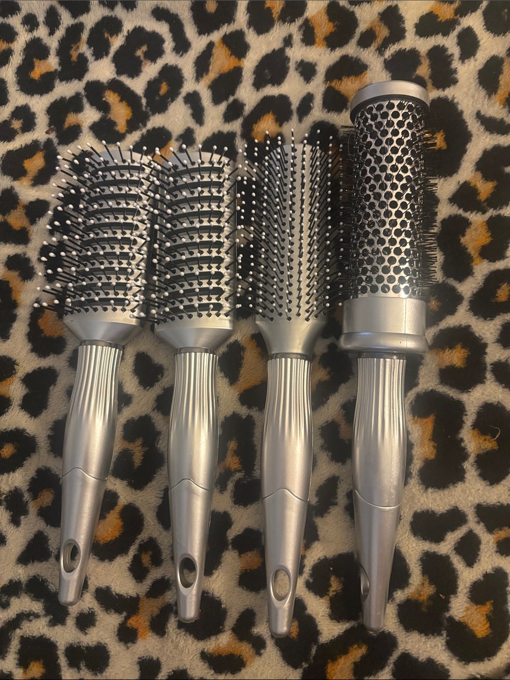 Set of 4 Silver Hair Brushes